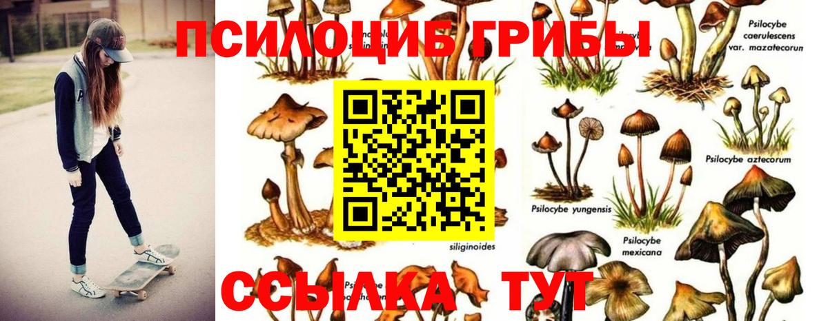 Ржев  Галлюциногенные грибы MAGIC MUSHROOMS  Вход с VPN 