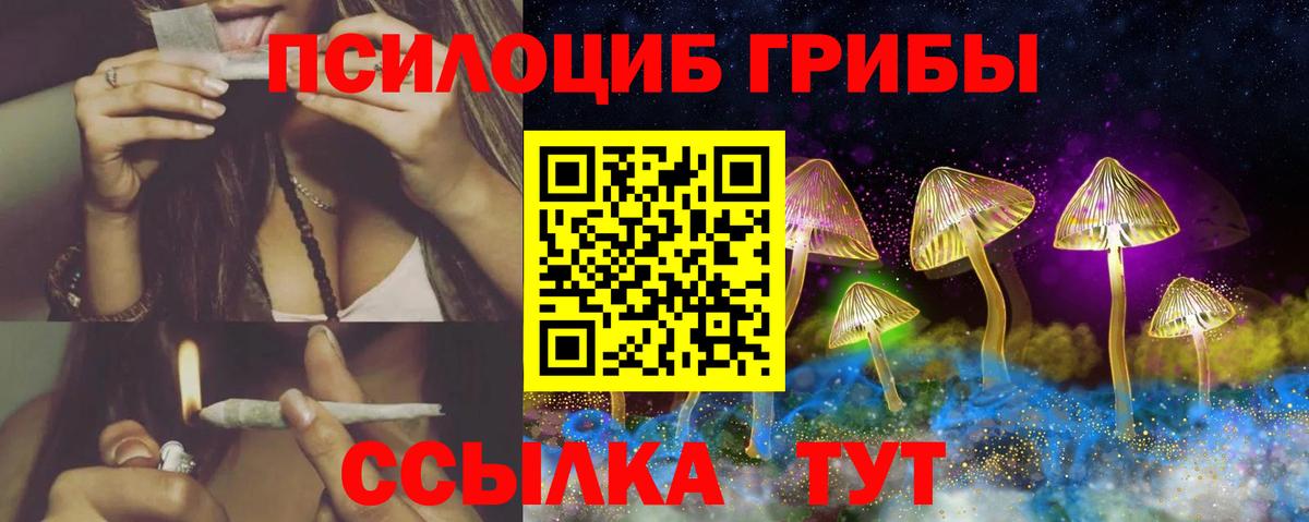 Псилоцибиновые грибы Psilocybine cubensis Ржев